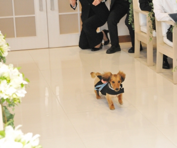 お二人の愛犬も一緒に・・・♪